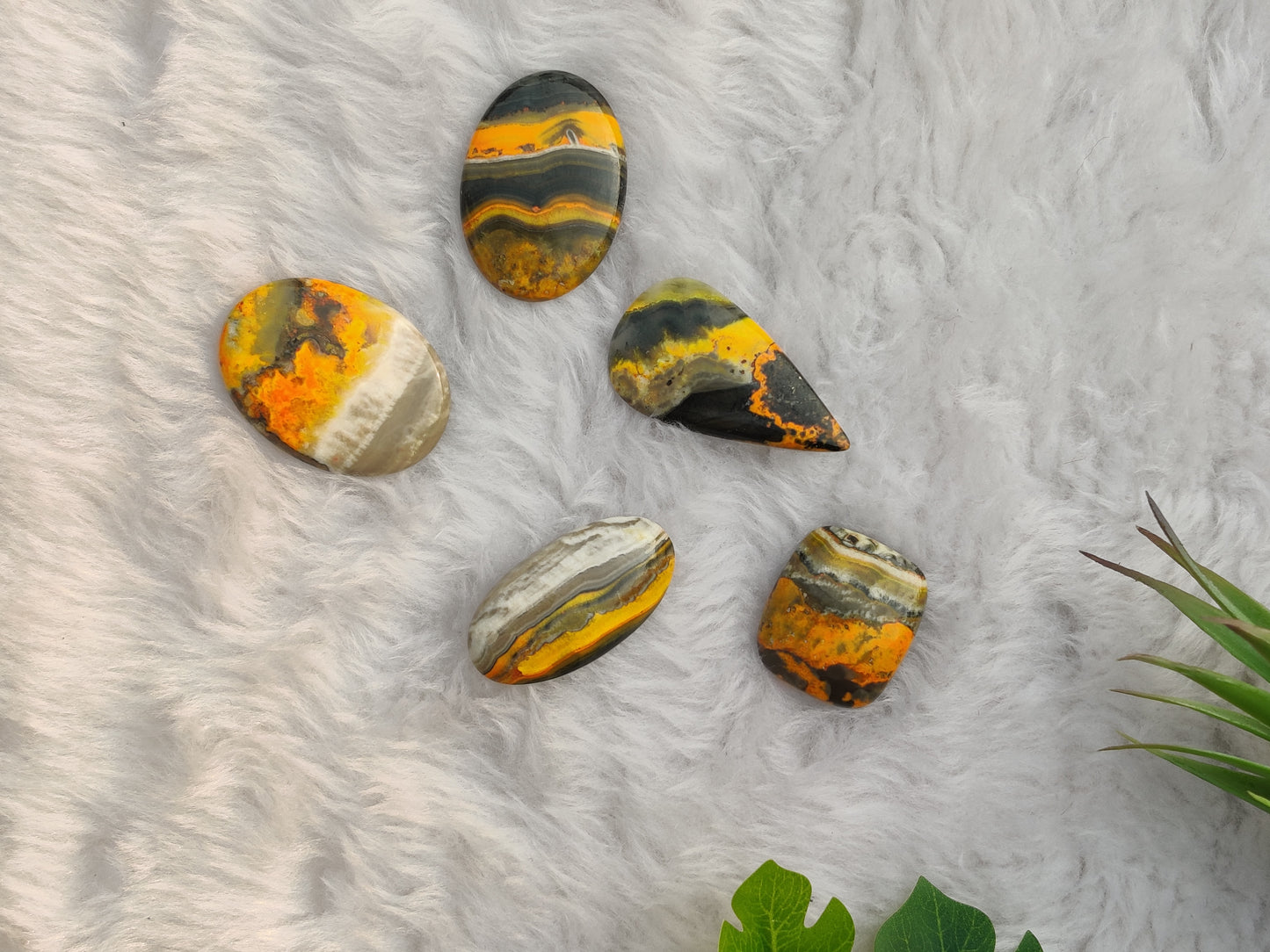 Bumble Bee Cabochons