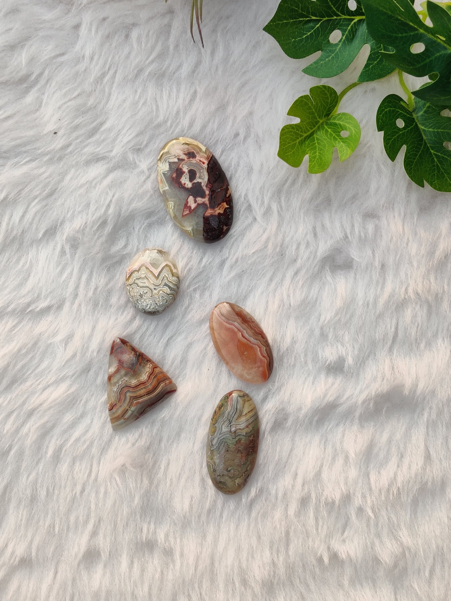 Crazy Lace Agate Cabochons