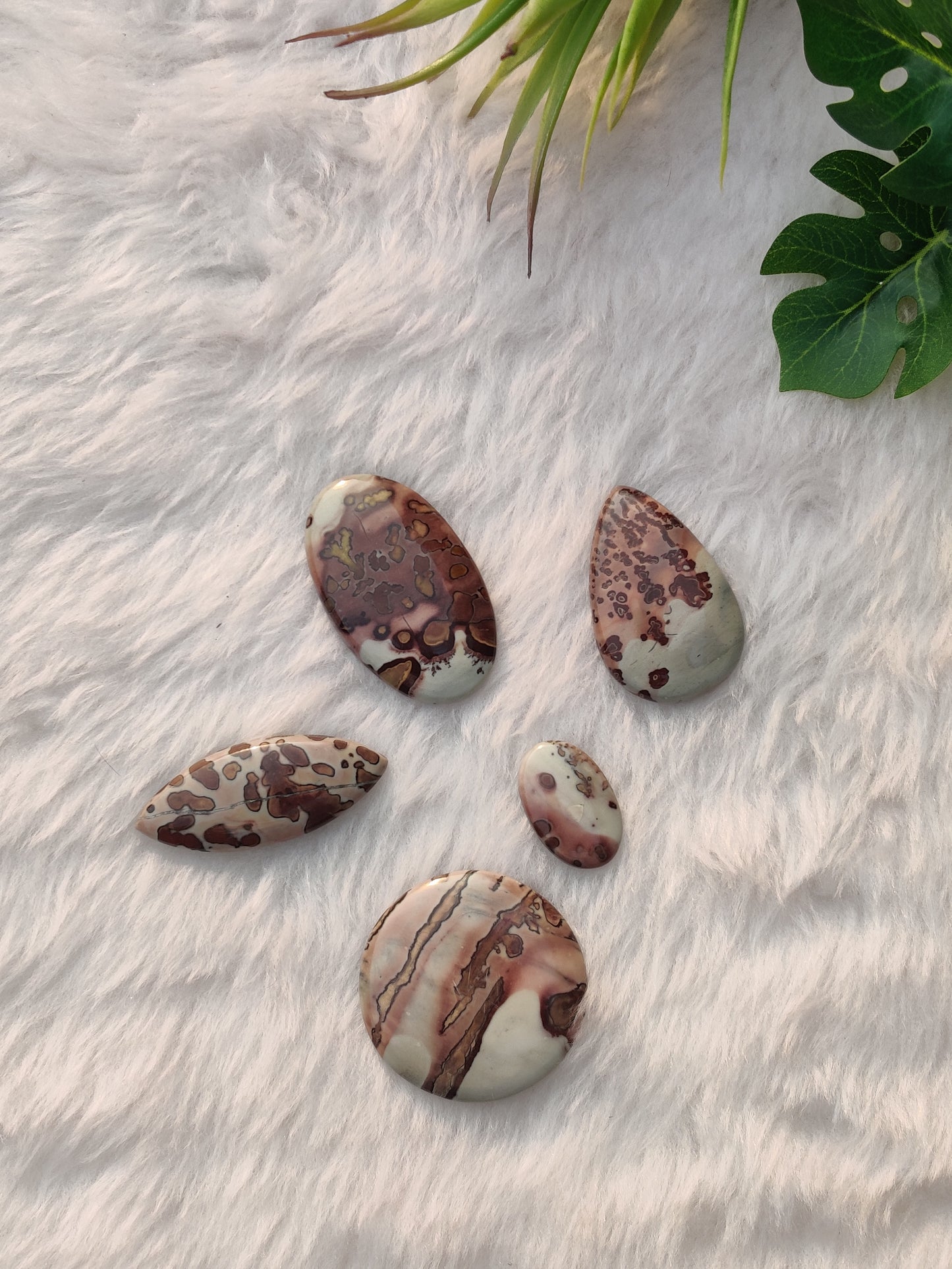 Coffee Beans Jasper Cabochons