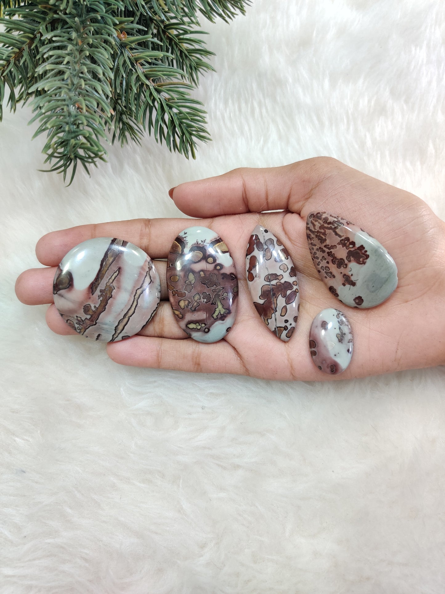 Coffee Beans Jasper Cabochons